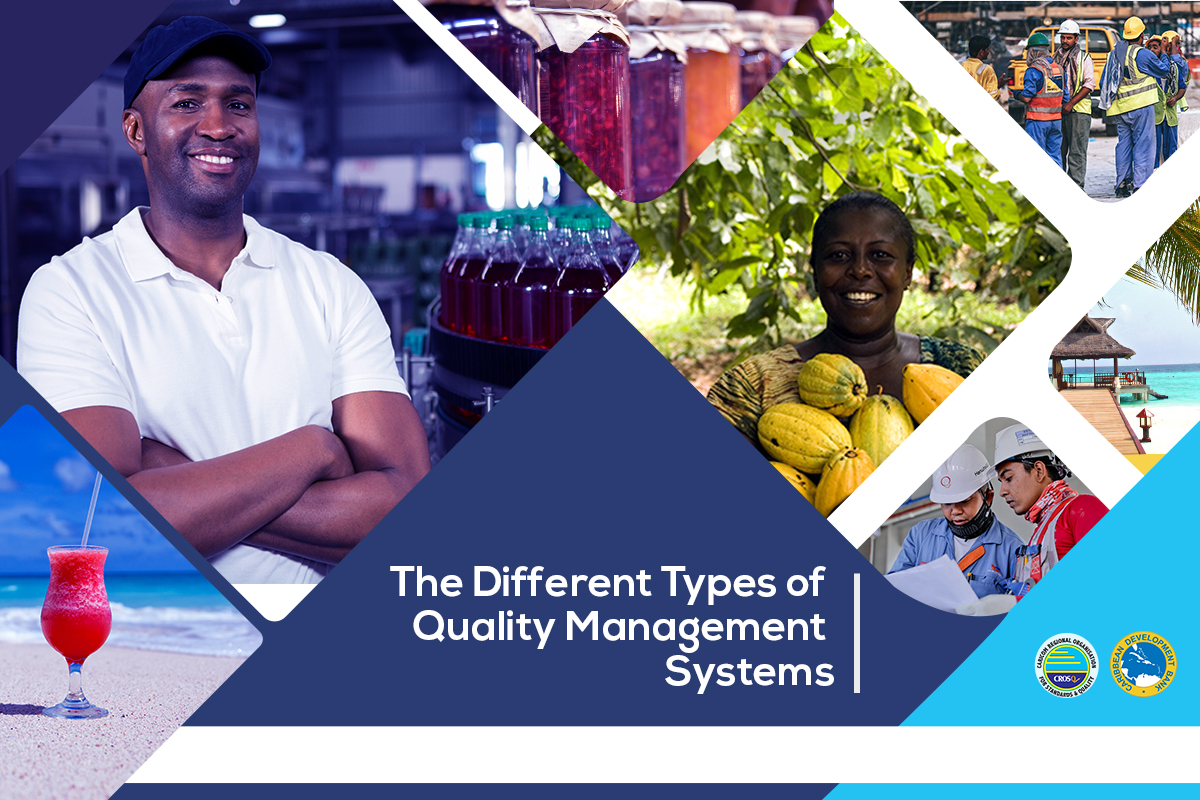 different-types-of-quality-management-systems-the-q-factor