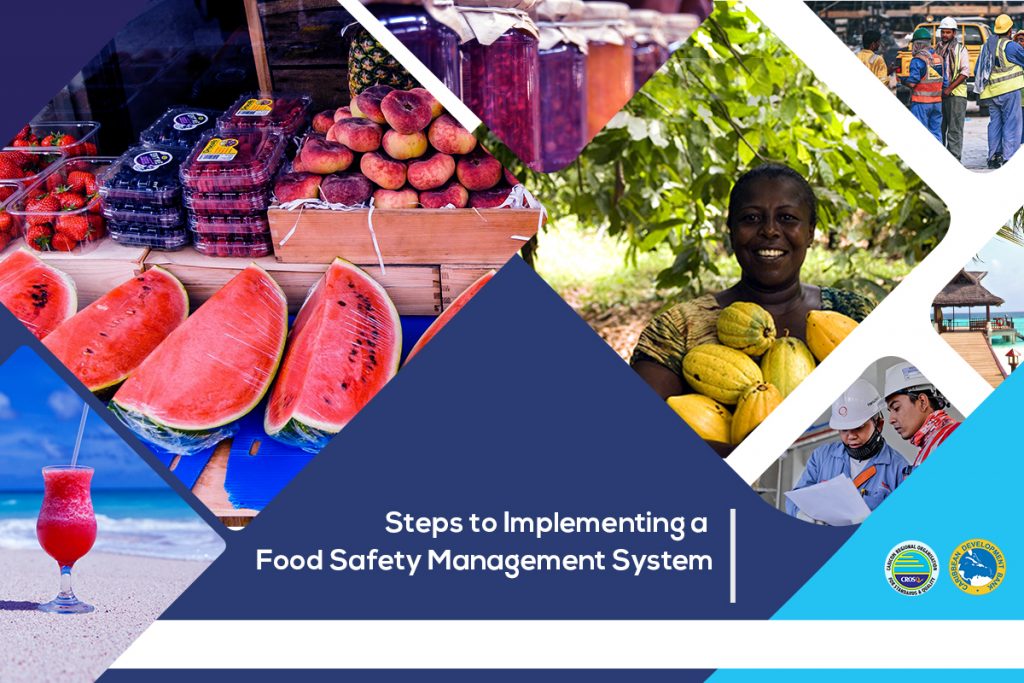 What are the Steps for Implementing a Food Safety Management