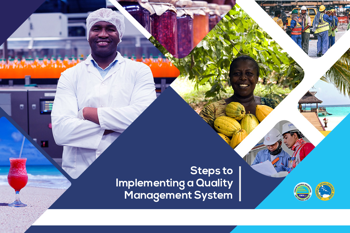 what-are-the-steps-for-implementing-a-quality-management-system-the-q